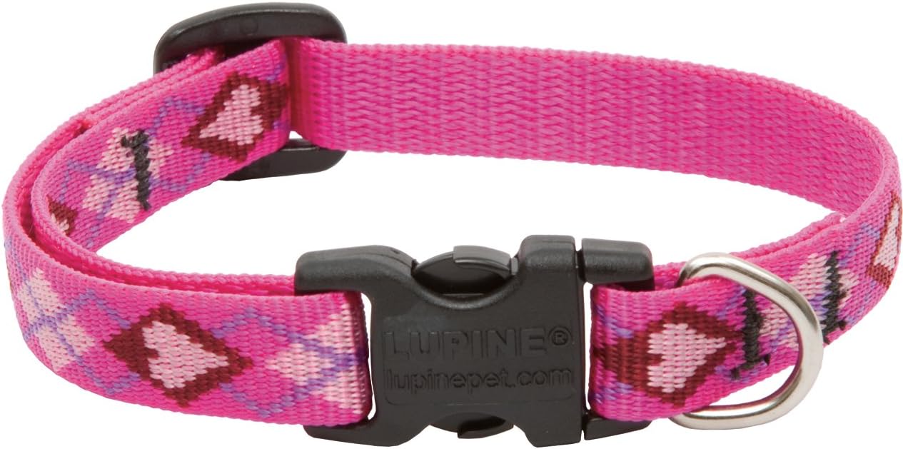 Originals 1/2" Puppy Love 10-16" Adjustable Collar for Small Dogs