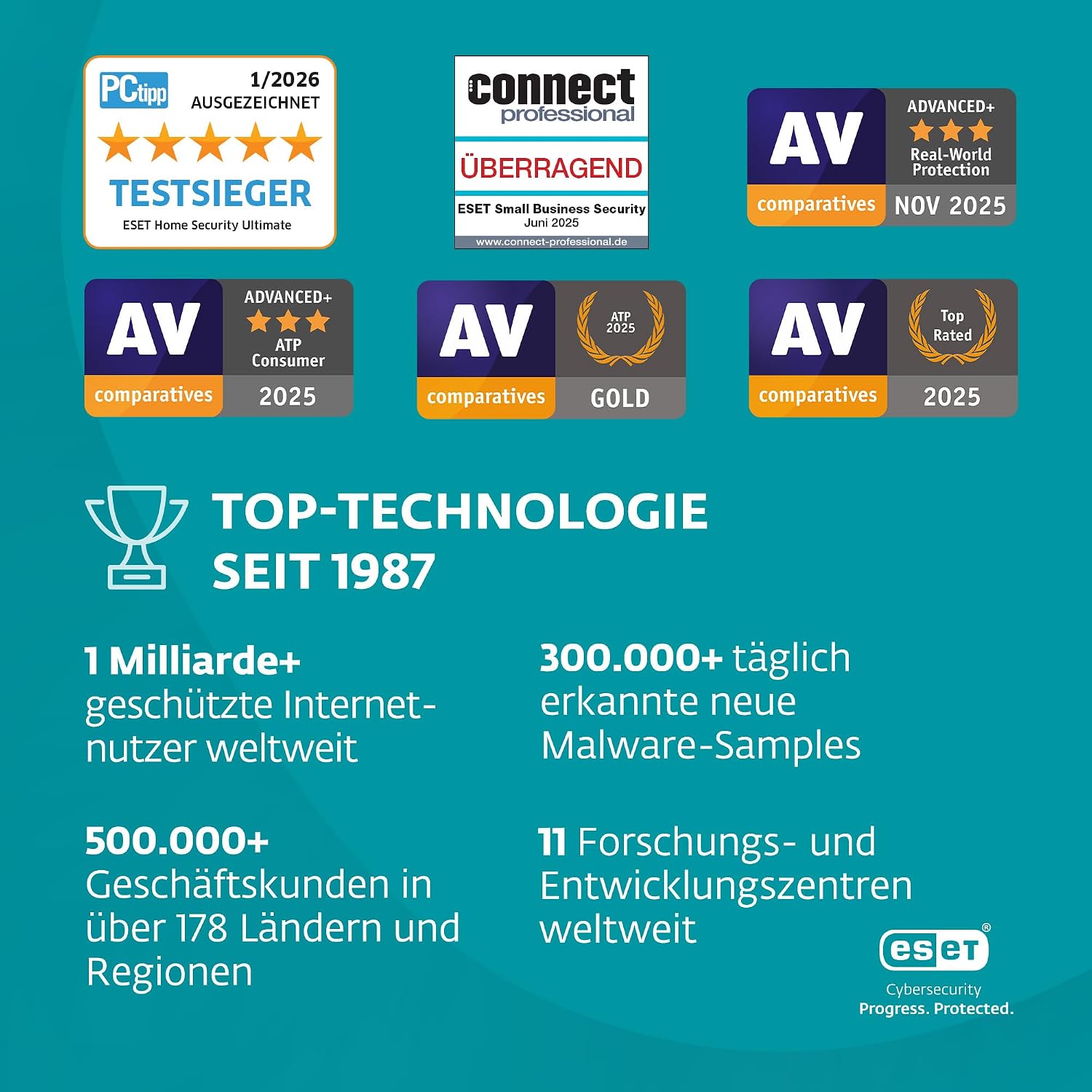 Vue 7