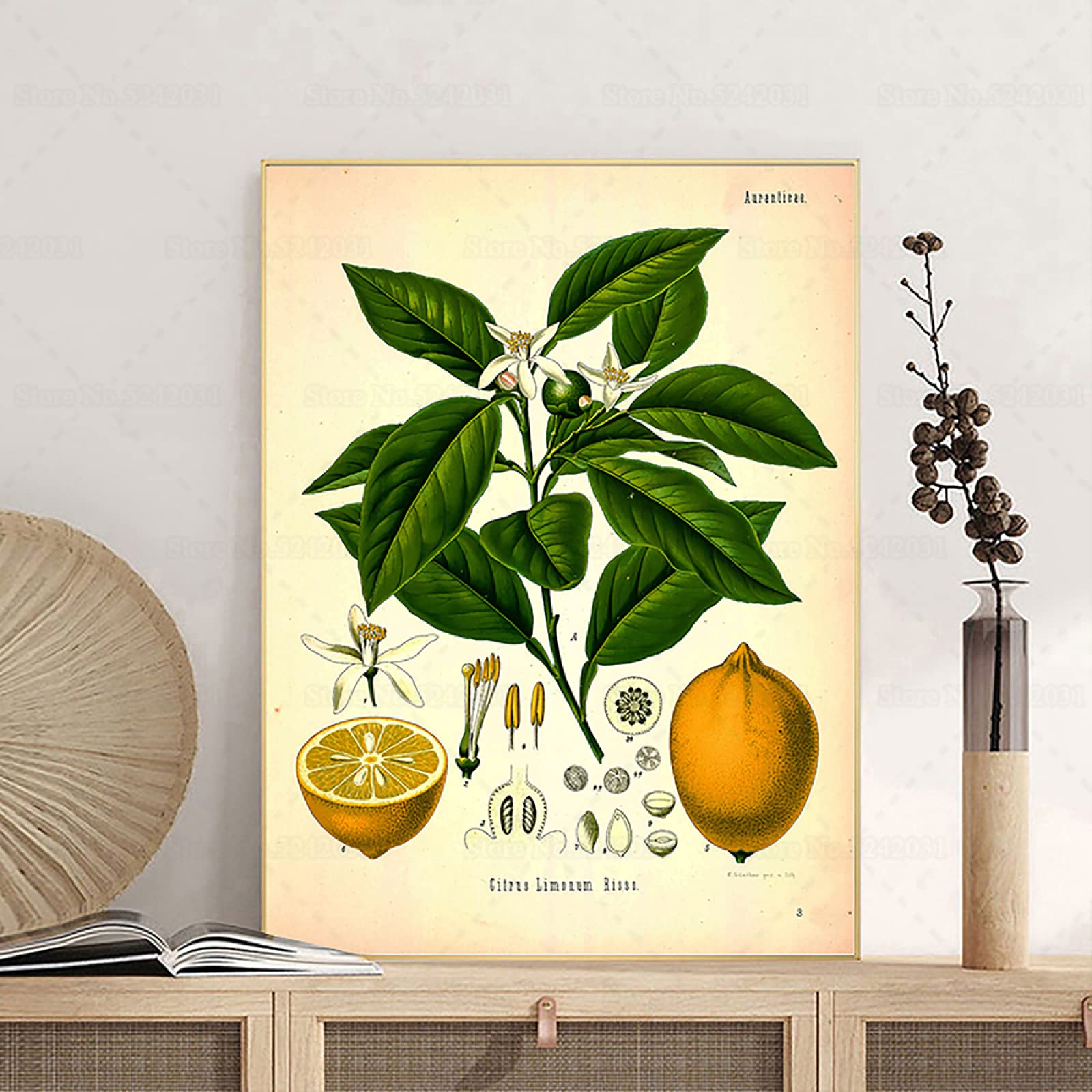 Posters Et Arts Décoratifs Affiche Vintage De Paysage