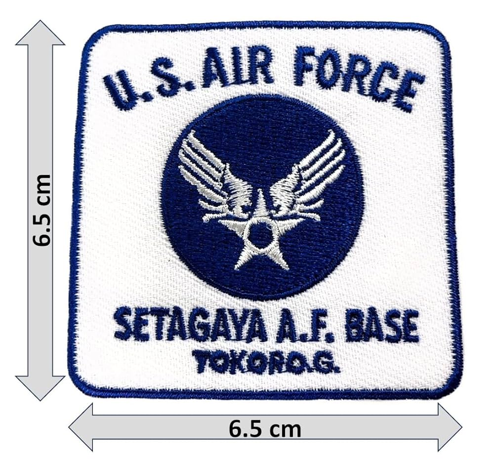 M16 ケース付き ワッペンセット &amp; エコバッグ &amp; ステッカー セット 51TxLpoEiBL.jpg_BO30,255,255,