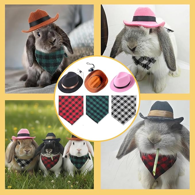 Sombrero de Vaquero y Pañuelo para Mascotas Pequeñas - Disfraz miniatura 8