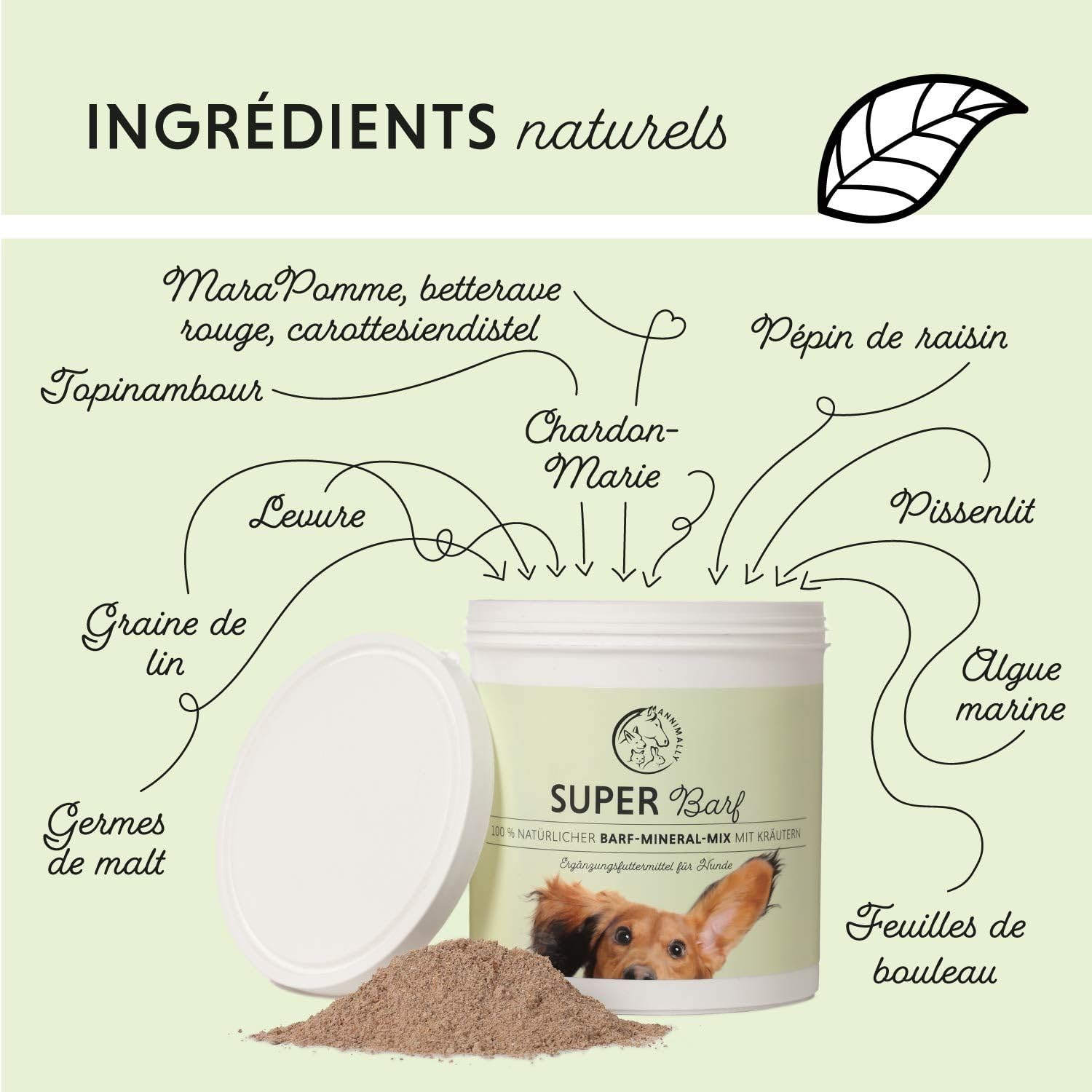 Annimally Barf Poudre Complète pour Chiens 1 kg, Mélange de Vitamines & Minéraux pour Une Nutrition optimale - Complément Alimentaire pour Chiens avec Légumes, Fruits et Vitamines