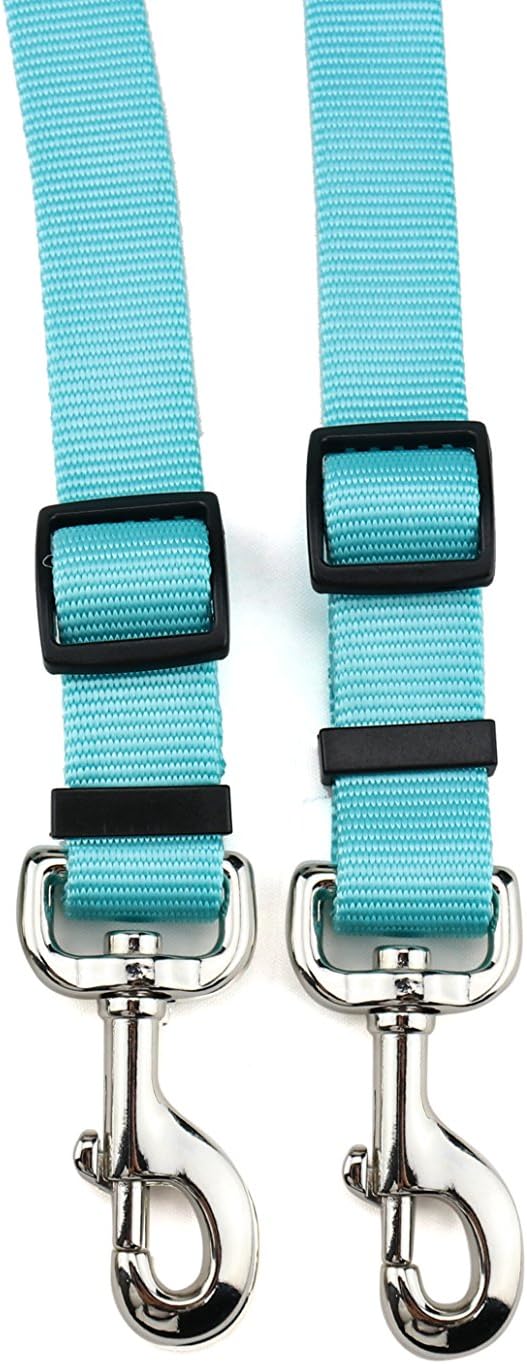 DCBARK Tangle Free Double Dog Leash, No Tangle Adjustable Length Lead with Comfortable Padded Handle for 2 Dogs (M, Turquoise)