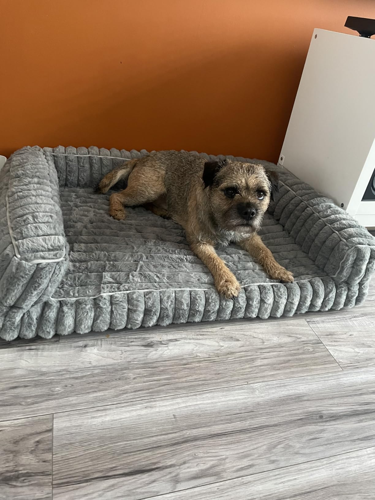 Customer photo