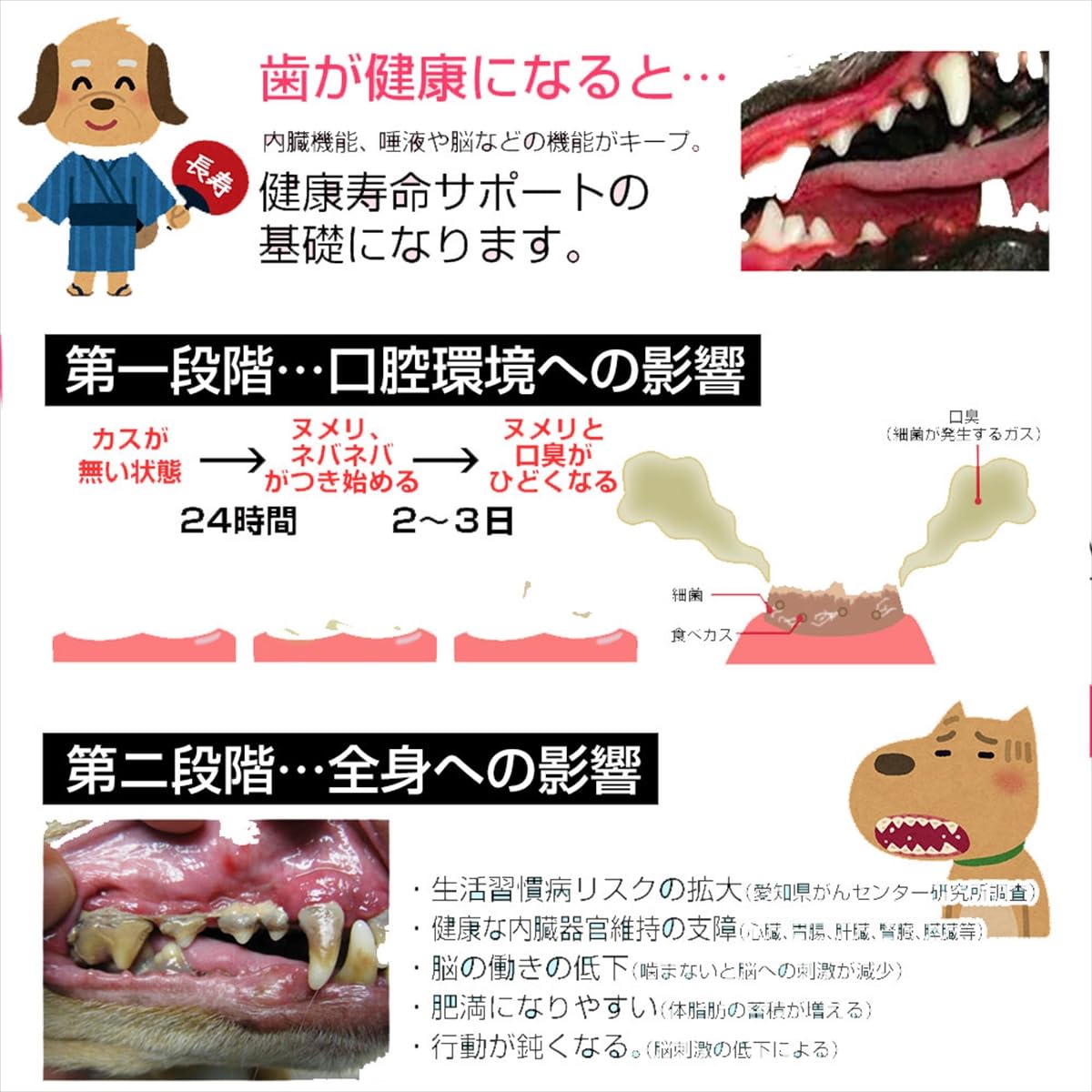 Amazon.co.jp: マウスクリーンパウダー3袋セット 360g（3袋+1袋