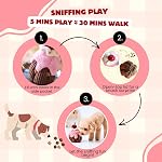 Enrichissement de chien Snuffle Jouet pour le travail du nez, Squeaky Crinkle Cacher et chercher Porte-Traits en peluche Jouet chiot gâteau d'anniversaire pour petits chiens moyens grands – Canèle cerise