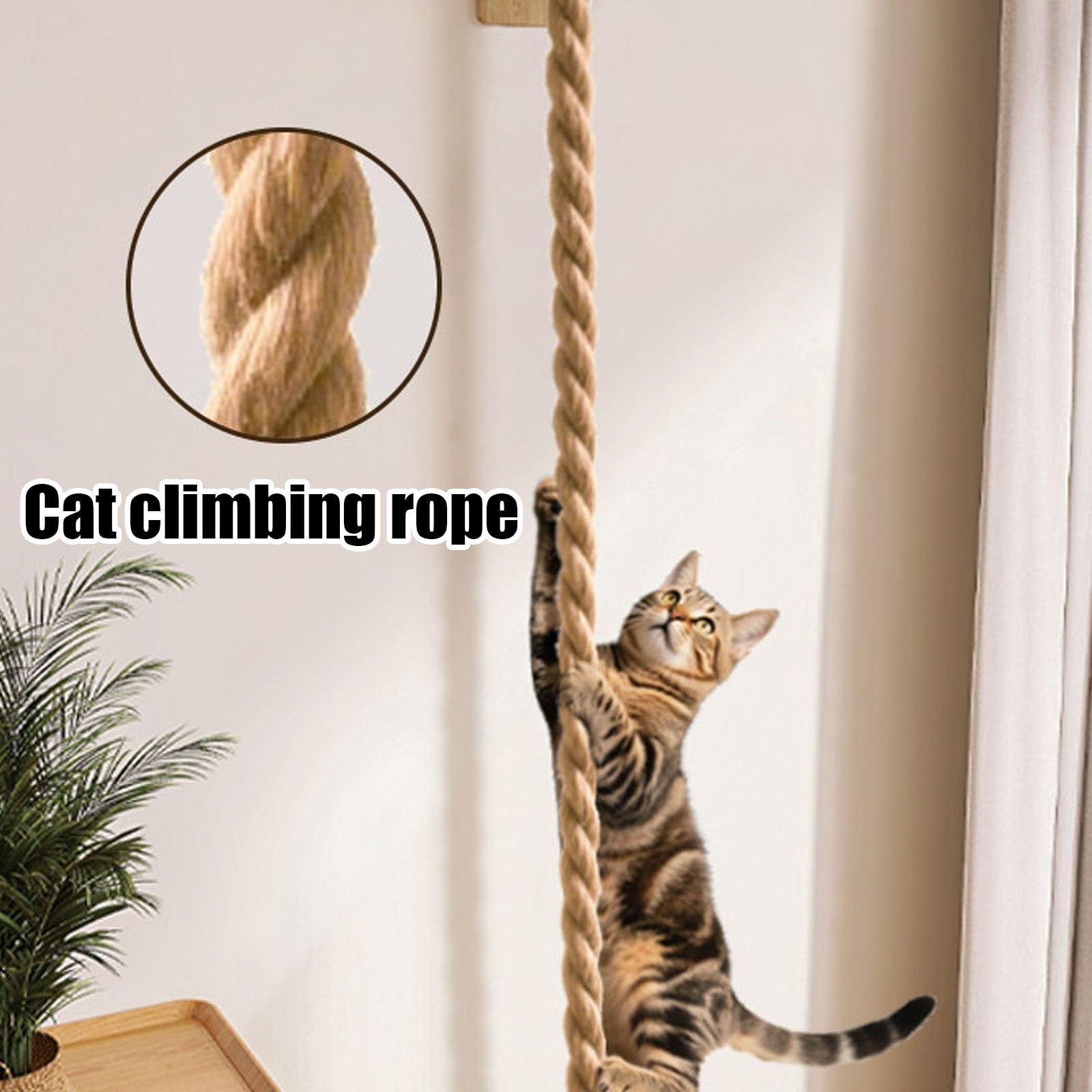 Tiragraffi con tiragraffi, torre per gatti a più livelli per interni, mensola da arrampicata per dormire e giocare, condominio compatto per gatti