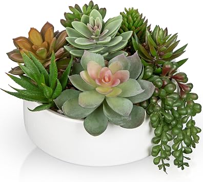 Artificial Succulent Plants in Pot 5.5 Inch Fake Succulents Arrangement
