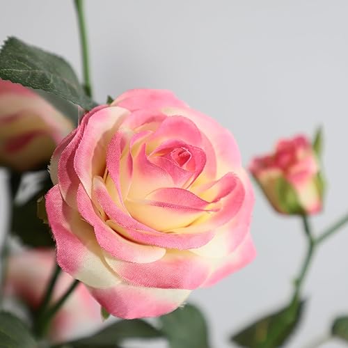 Miniatura 4 de momoplant Juego de 2 rosas artificiales de seda de 25 pulgadas de alto, con maceta para sala de estar, mesa, cocina, oficina, decoración (rosa)