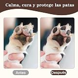 Ver la foto 4