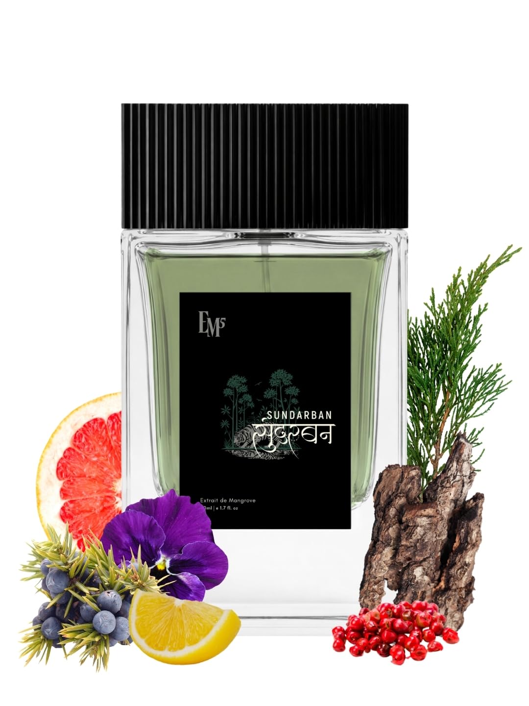 EM5 Sundarban | Green, Wet Earthy, Vetiver | Extrait de Parfum for Men and Women | Long Lasting Niche Perfume with Natural Essential Oils | Luxury Perfume Gift for Him & Her | 50ml-image-20