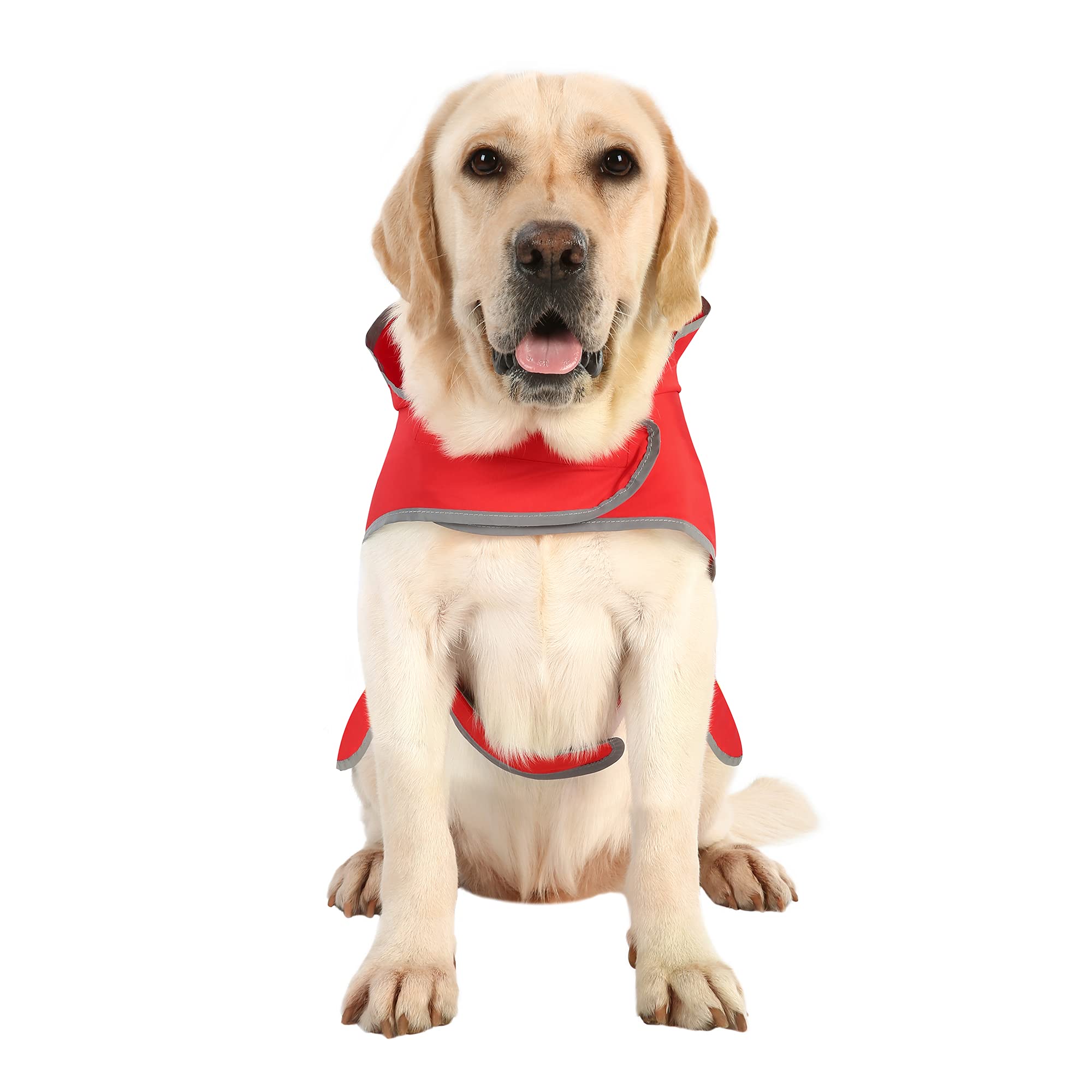 Impermeable Impermeable para Perro con Capucha y Agujero para Correa, para Perros y Cachorros pequeños, medianos y Grandes