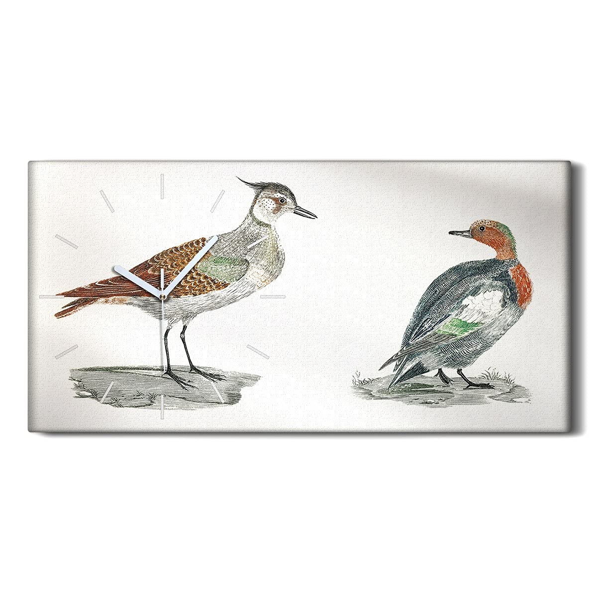 Horloge sur Toile Art Moderne Animaux et Oiseaux Tableau Mural Haut de Gamme