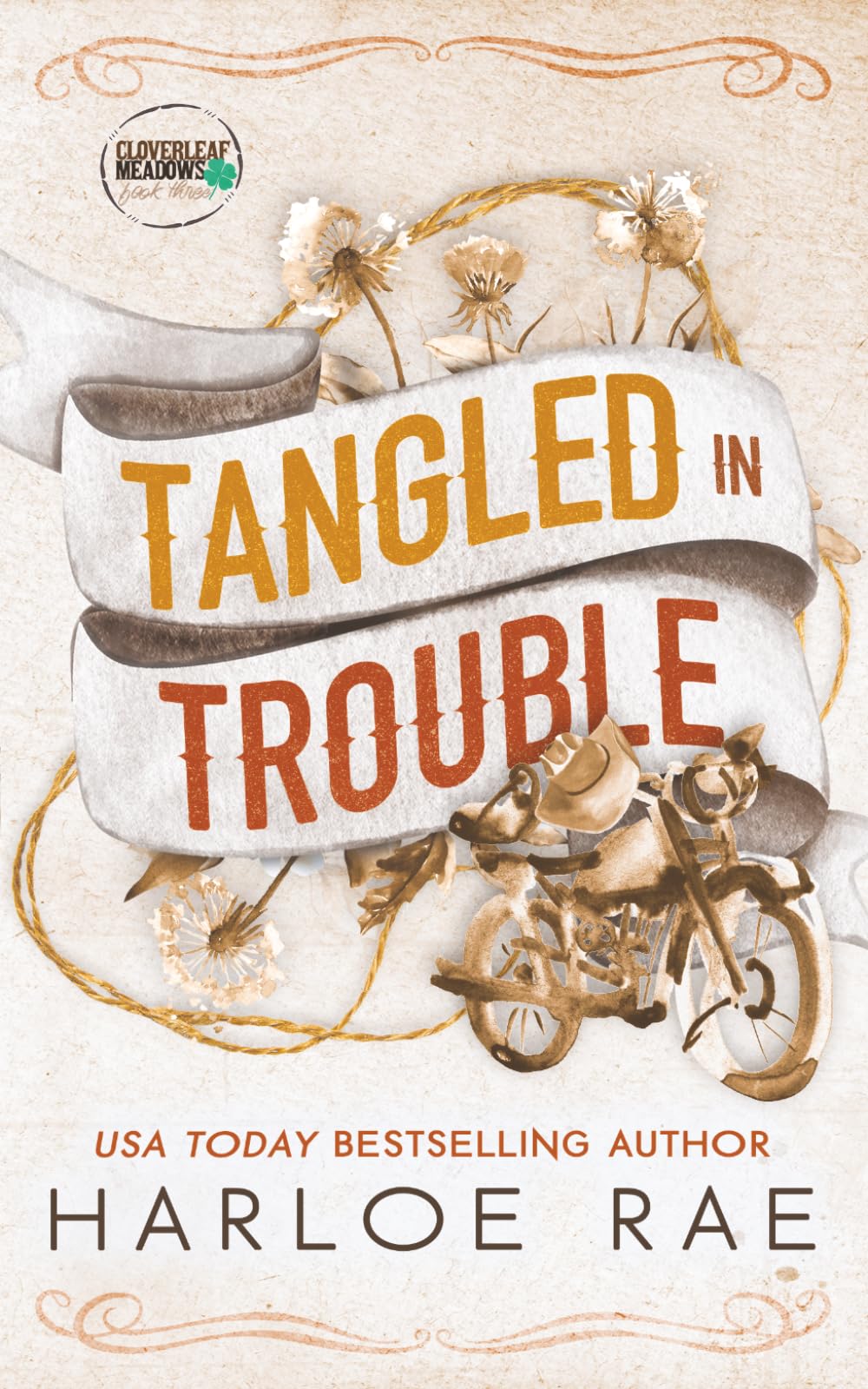 Tangled in Trouble: A Grumpy Single Dad Small Town Standalone (Cloverleaf Meadows)