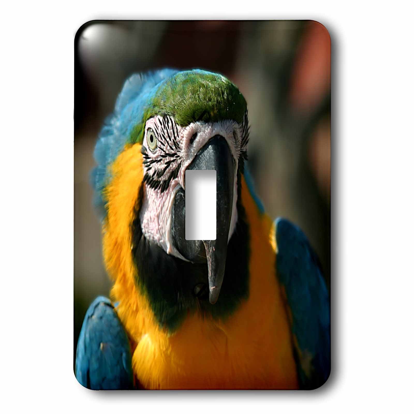 Couverture pour interrupteur ara masquer plaques électriques ternes
