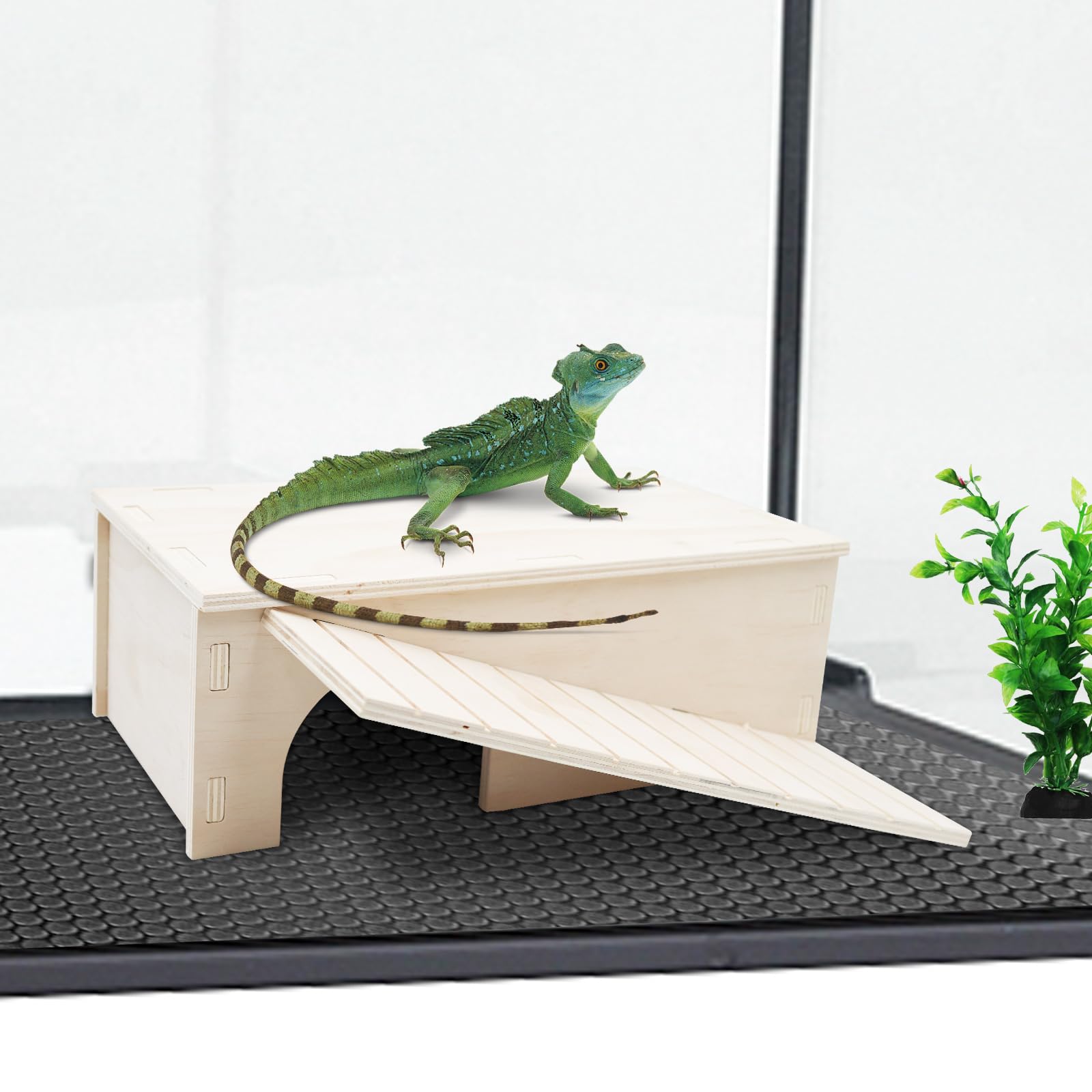 Cueva de escondite de dragón barbudo, escondite de lagarto de madera con rampa de escalada, hábitat de reptiles con plataforma para tomar el sol, accesorios de tanque para dragón barbudo, lagarto