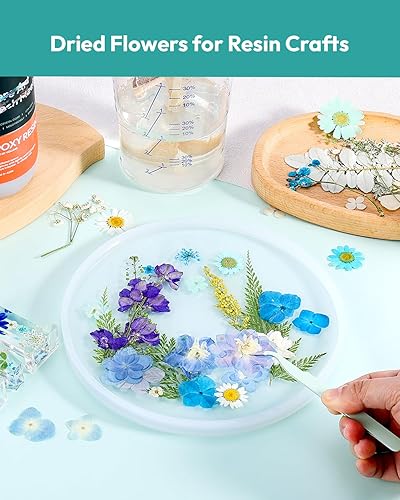 Vista 133 de Resiners - Flores secas, 100 piezas de flores prensadas para manualidades, color amarillo, flores secas naturales, kit de hojas secas