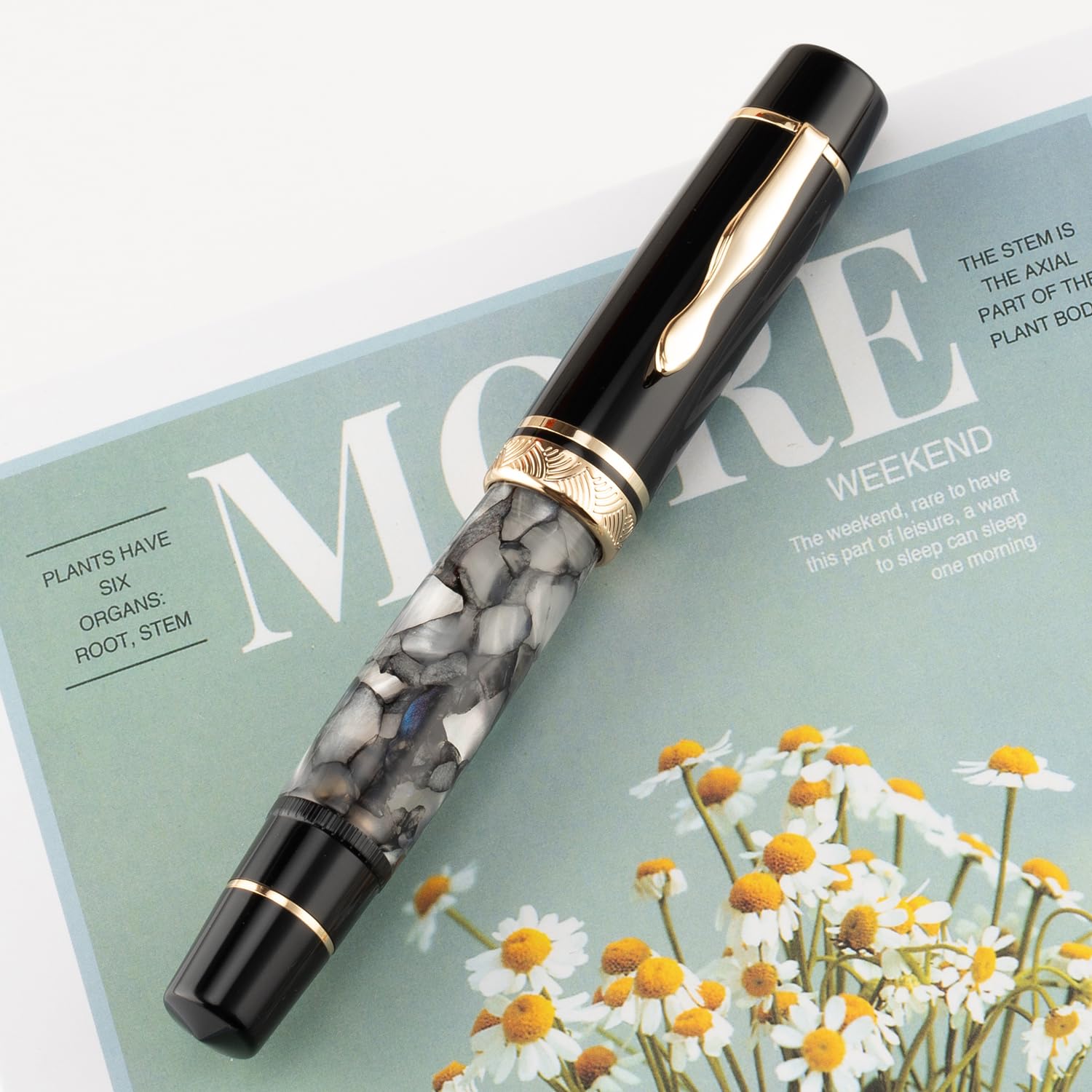 erofa Majohn P139 Piston No. 8 Fountain Pen Fine Nib with Box, Large Capacity Grey Marble Acrylic Writing Pen - Image 2