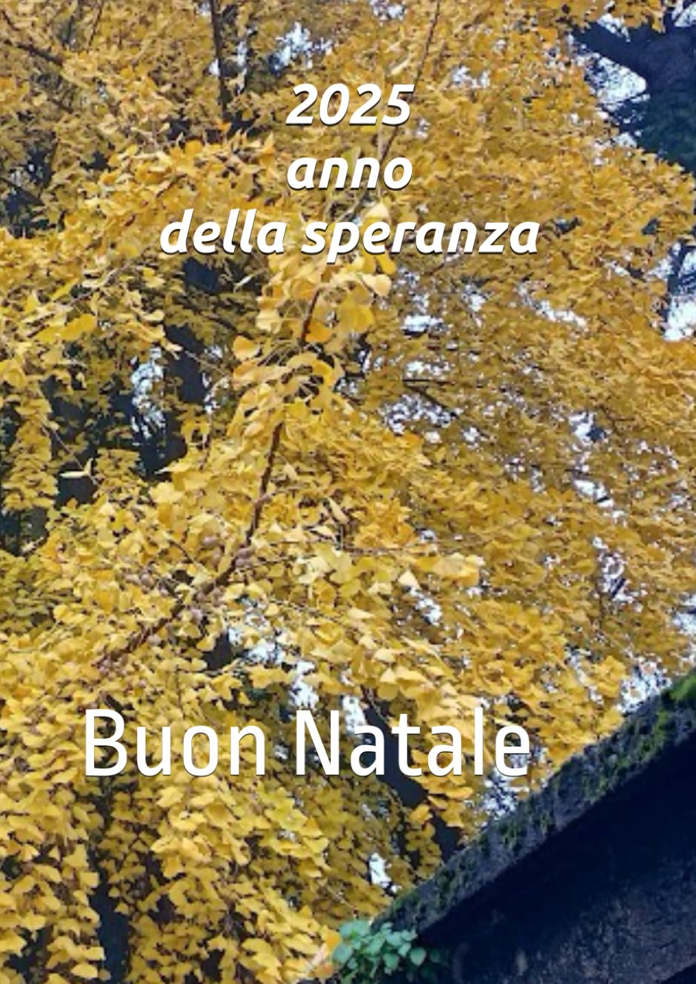 2025 anno della speranza: Buon Natale