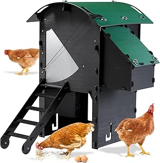 Small Raised Chicken Coop 2-3 Chickens - 25yr Lifespan Chicken Coop for 3 Chickens Or 5 Bantams | 1 Rounded Perch for Chickens & Hens to Roost | Raised Hen House for Poultry with 1 Nesting Box & Ramp