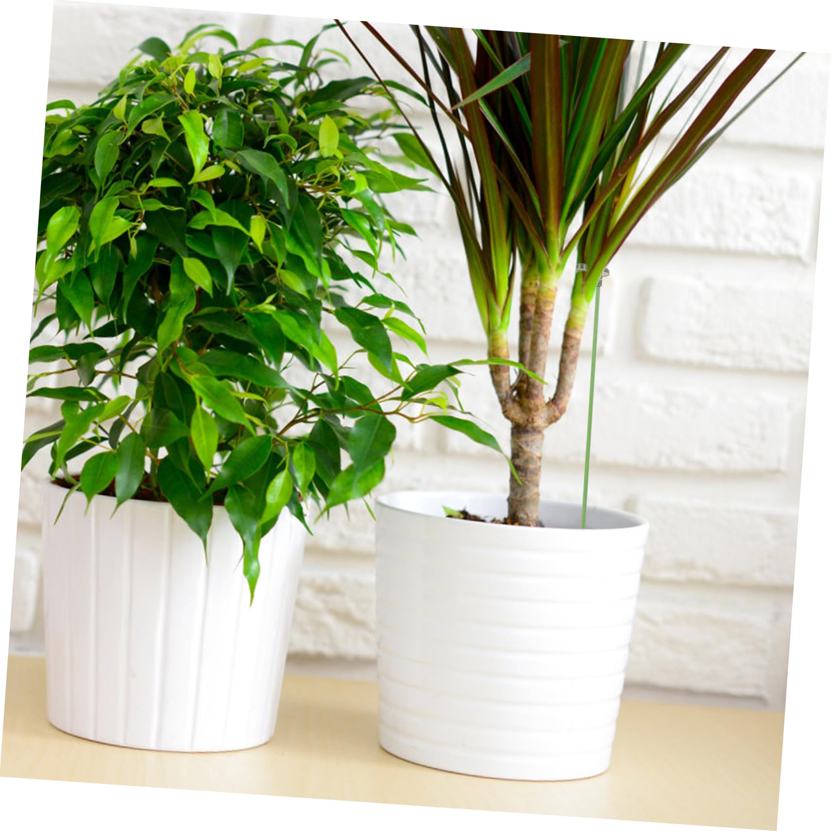 Toyvian 3 Sätze Pflanzenstützrahmen Pflanzenunterstützungseinsätze eingetopft Stützgestell für Kletterpflanzen Anlage Blumen- kleine Gartenpfähle Gartenpfahl Plastik Green