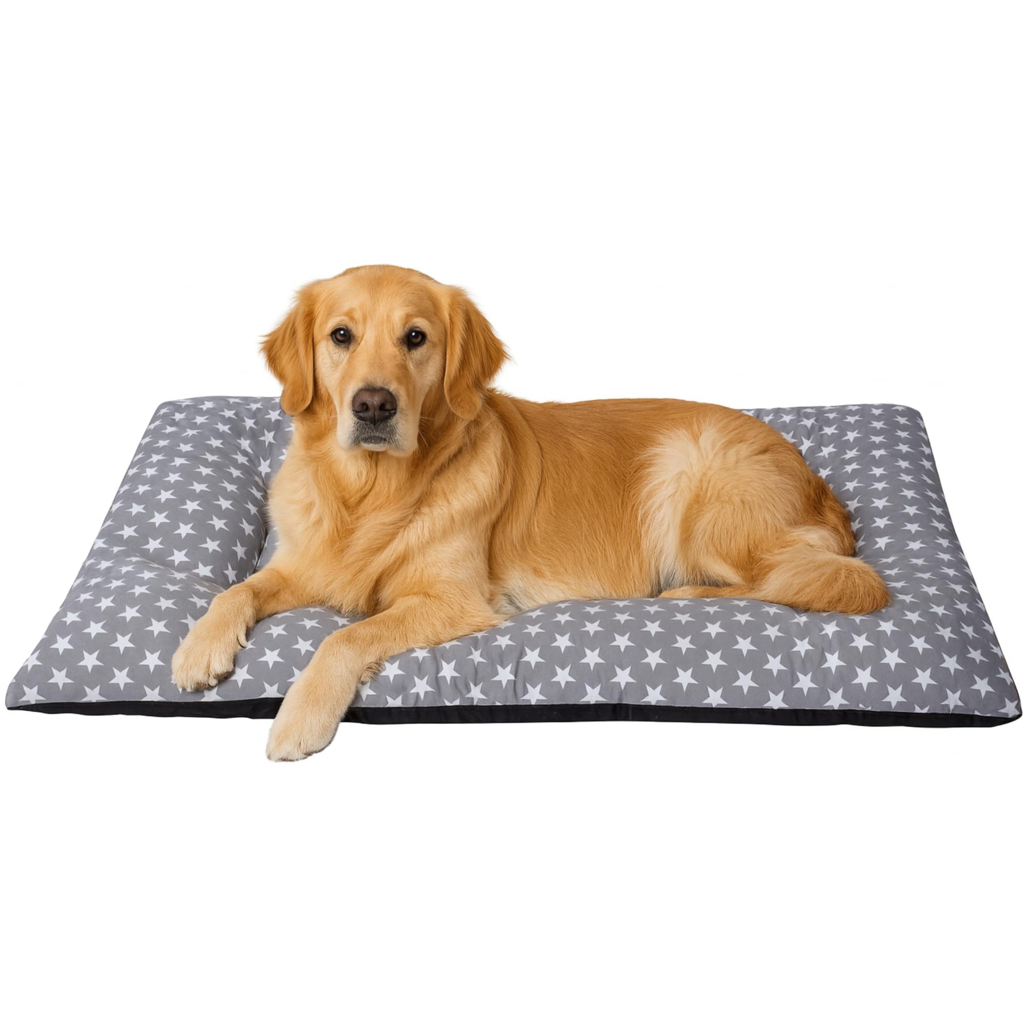 Large Dog Bed Padded Foam Mat Soft Touch Breathable Fabric Non-Slip Base Cotton Cover Canvas Lightweight Comfortable Washable Easy to Carry and Clean 75X115X5 Stars +Cotes