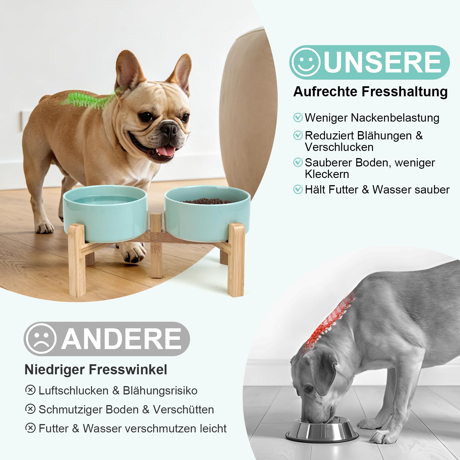 SPUNKYJUNKY Erhöhter Hundenapf Keramik, 15,5 cm Futter- und Wassernapf mit rutschfestem Bambus Ständer für mittelgroße Hunde & Katzen, Spülmaschinen- & mikrowellengeeignet - 850 ml, Hellgrün
