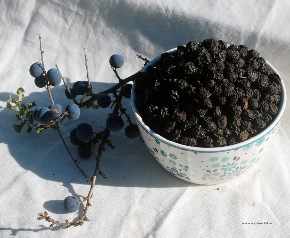 Bayas de endrino 1 Kg