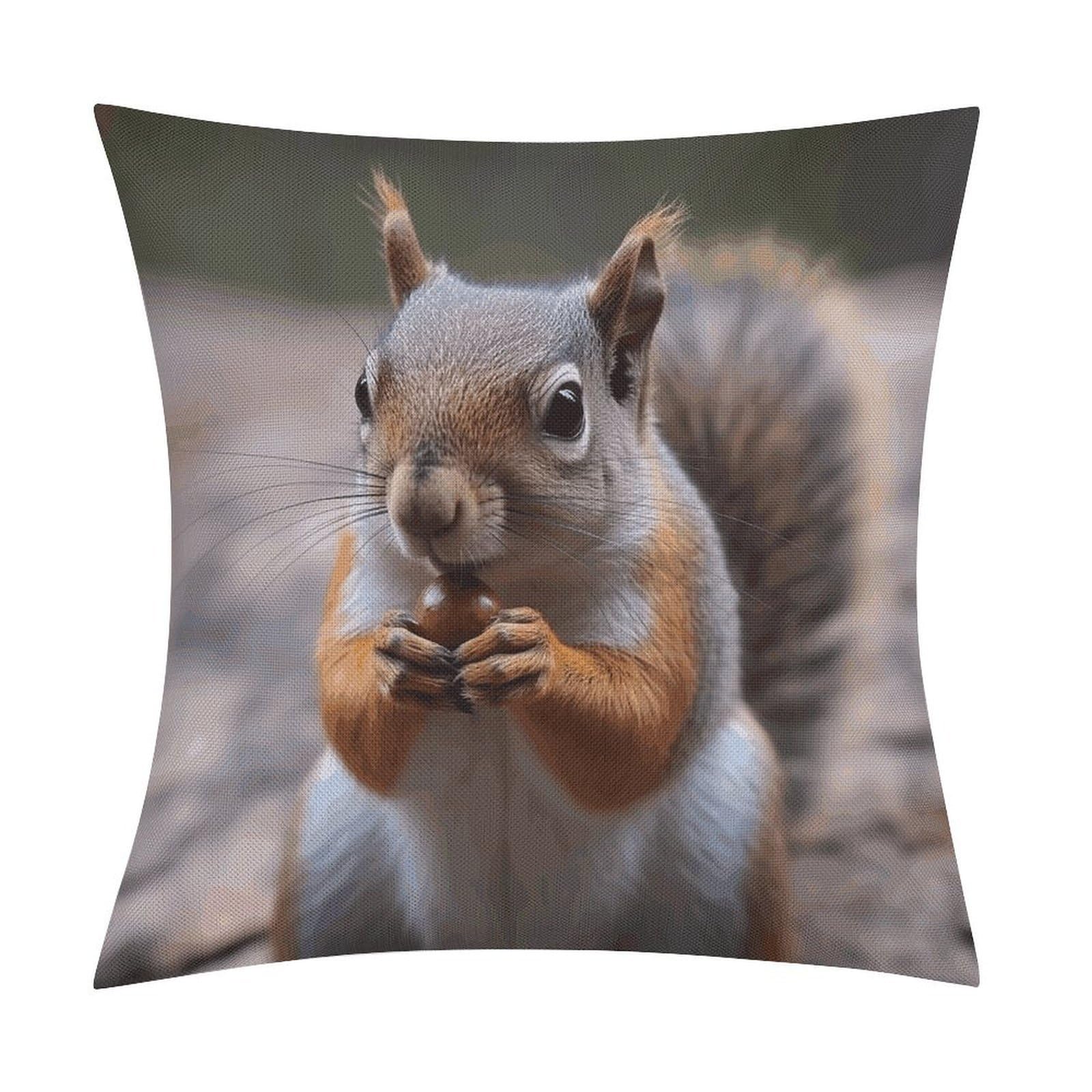 JTREHY Cute Squirrel Throw Pillow Covers Farmhouse Pillow Cover Standard Pillow Shams Decorative Square Pillowcases Soft Pillow Cases Wrinkle Fade Resistant for Couch Home 18x18 Inch