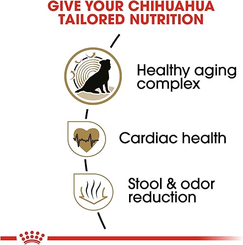 Miniatura 3 de Royal Canin Chihuahua Adulto 8+ Alimento deshidratado específico para raza para perros mayores, bolsa de 1.13 kg