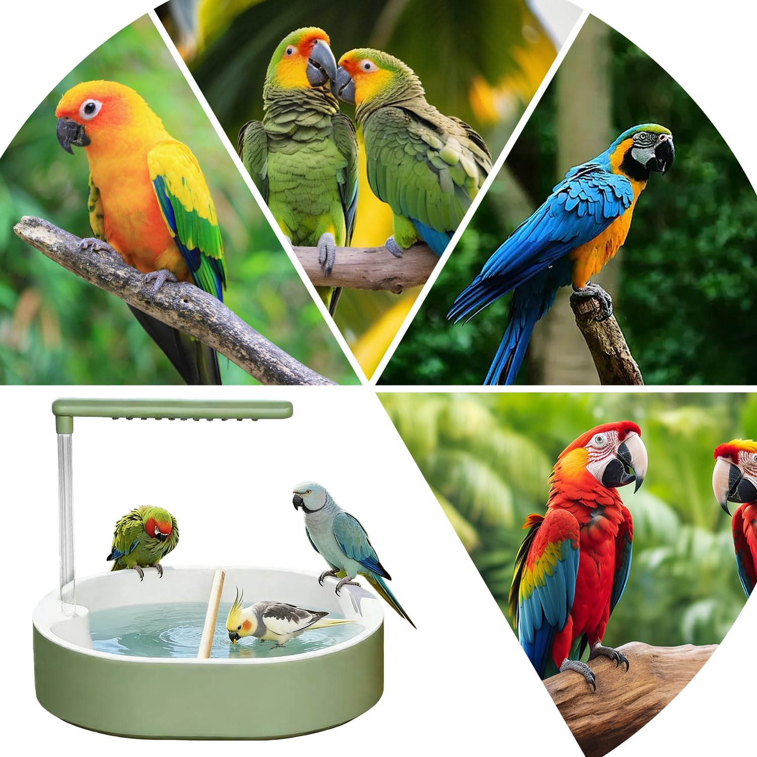 Vogeldusche Wellensittich mit Wasserfall & USB Strom, rutschfeste Vogelbadewanne für Käfig & Balkon,Vogelbad für Unzertrennliche Nymphensittiche Afrikanische Munias & Aras
