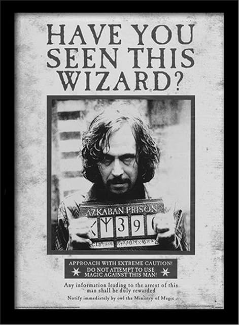 Harry Potter FP10611P-PL "Sirius Wanted" Framed Print, 30 x 40 cm