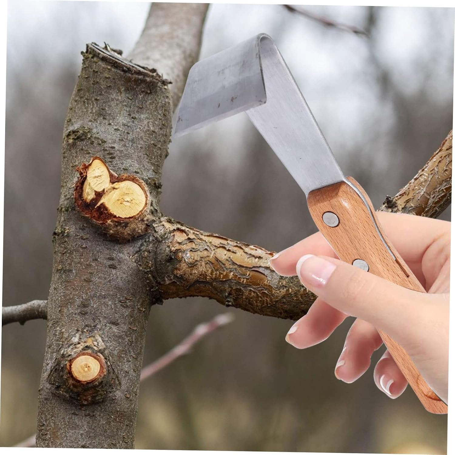 ORFOFE 2pcs Multi-Functional Bark Stripping Cutters Ergonomic Tree Bark Scrapers for Gardening Durable Sturdy Tools for Fruit Trees and Landscaping