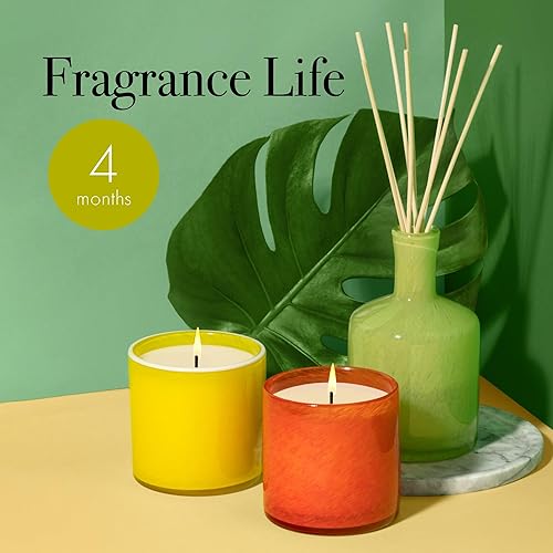Miniatura 10 de LAFCO NUEVA YORK  Home Fragrances Signature - Recambio de difusor de varillas perfumado en aroma a vainilla negro ámbar con toques de jazmín