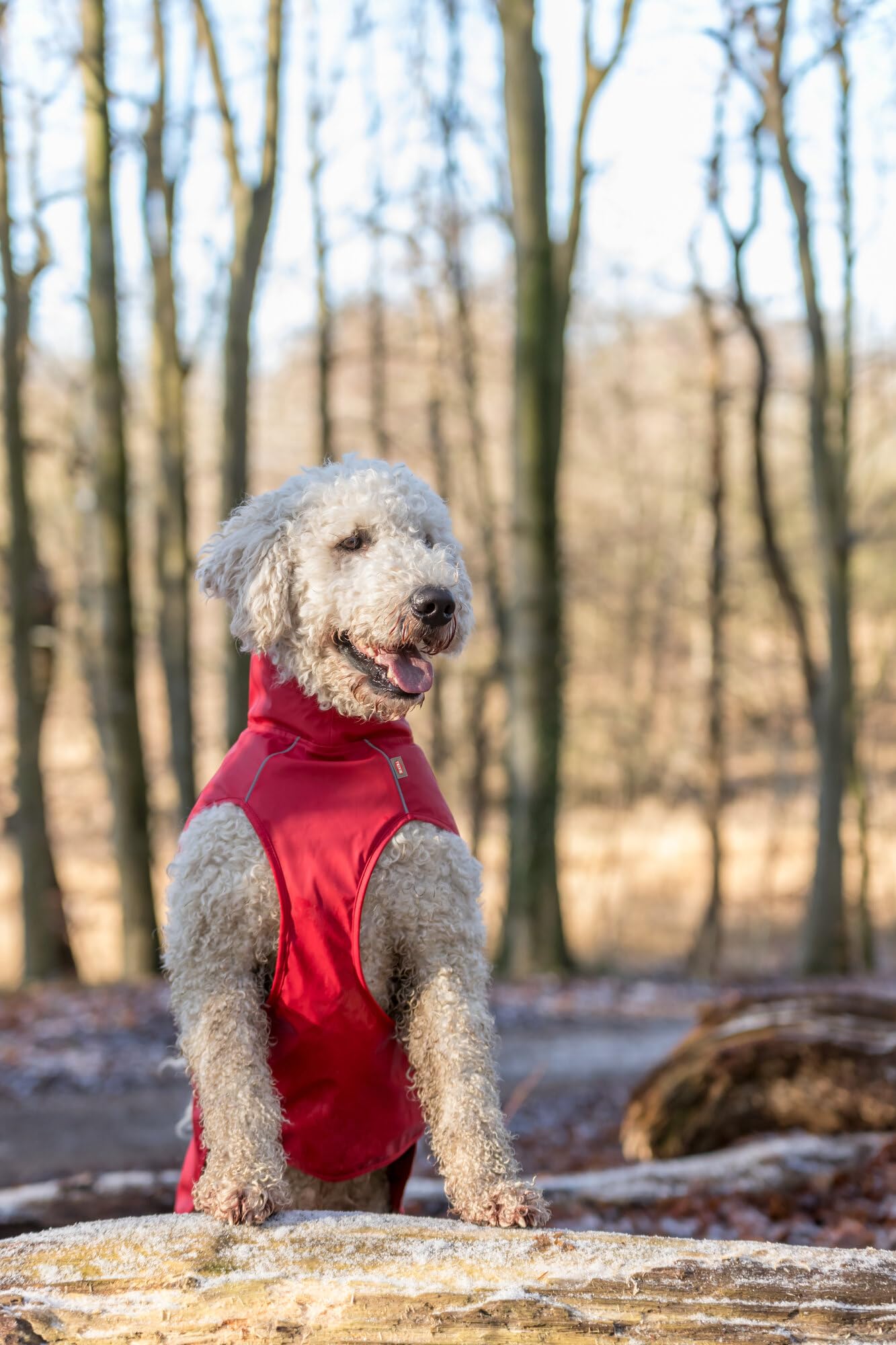 TRIXIE Vimy Regenmantel für Hunde, rot, Größe S - Bauchumfang: 34 - 53 cm – Regenmantel für Hunde mit reflektierenden Elementen für bessere Sichtbarkeit im Dunkeln – bequem und verstellbar – 680222
