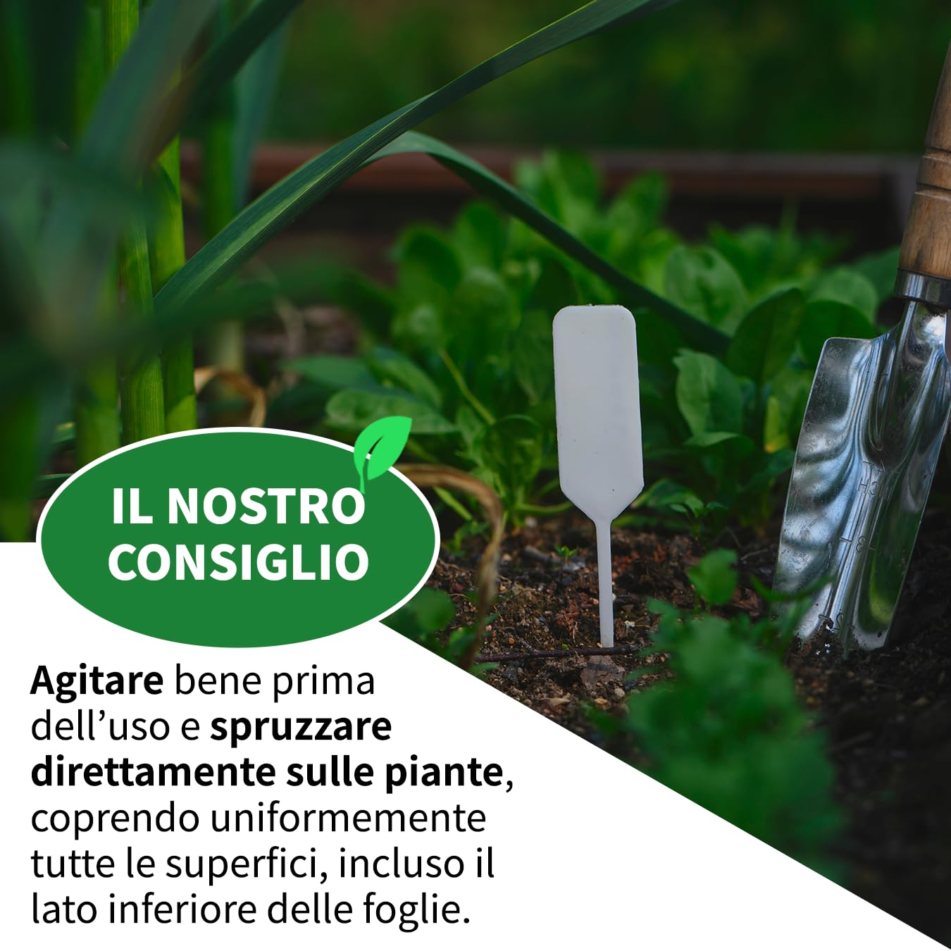 LEADER, Controller Insetti, Contiene Estratti Vegetali, Svolge un Effetto Repellente Contro gli Insetti Dannosi e Favorisce lo Sviluppo delle Difese delle Piante, Ampio Spettro d'Azione, Formato da 1L
