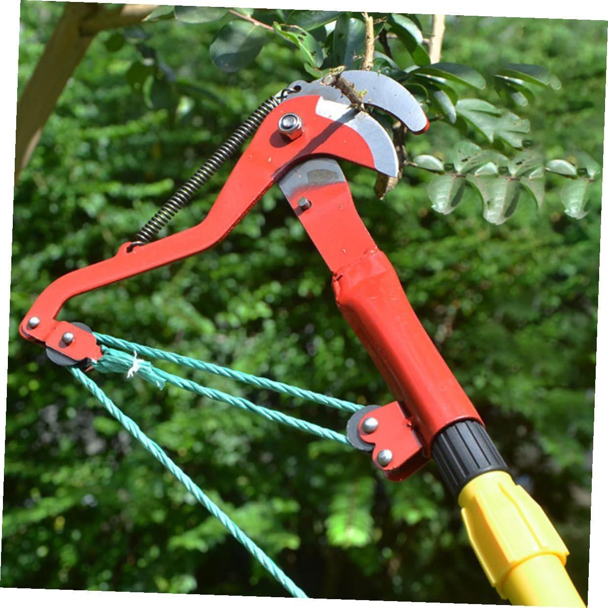 Fruit Harvester Clipper with Rope, Extendable Tree Pruner and High-branch Garden Trimming Tool for Outdoor Gardening and Fruit Picking