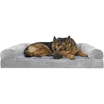 enchanted home pet library sofa dog bed