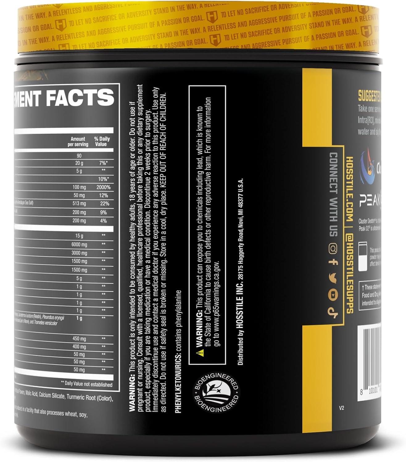 HOSSTILE Intra[R3] Intra Workout Powder, EAA & BCAA Drink with Carbs, Enhance Energy & Endurance, Build Lean Muscle & Improve Recovery, Pineapple Rush, 20 Servings