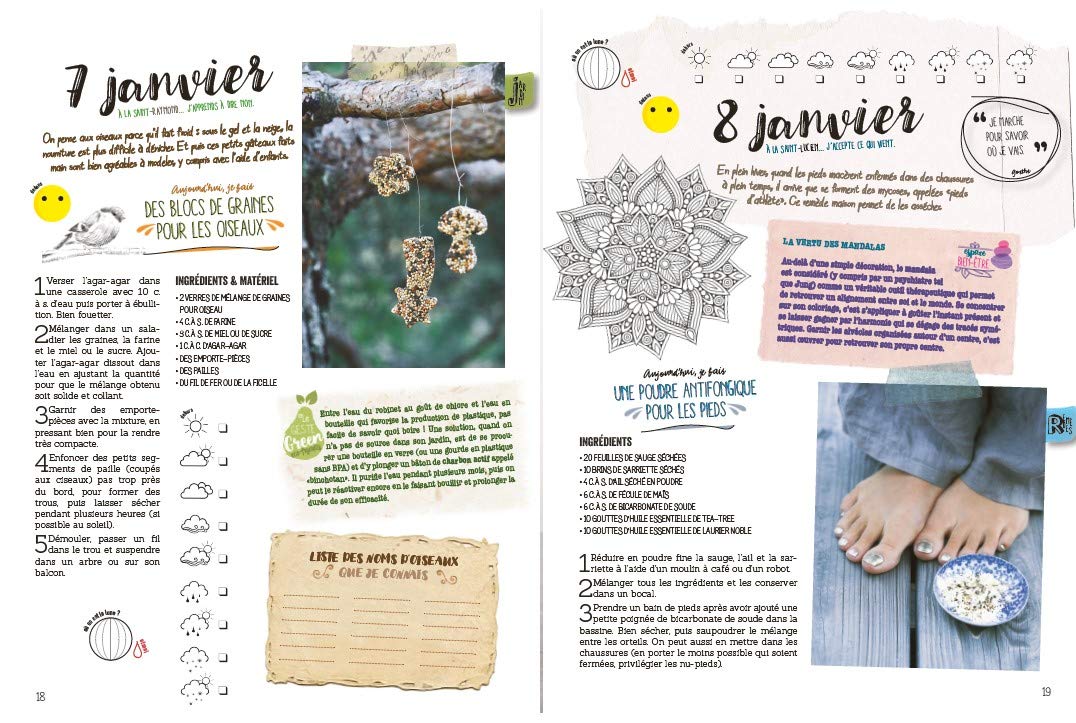 Agenda perpétuel journalier, bullet journal et almanach tout faire soi-même - 480 pages, 19 x 25 cm - 365 projets pour une année eco-friendly - Cuisine, bien-être, déco, cosmétiques, couture, mobilier