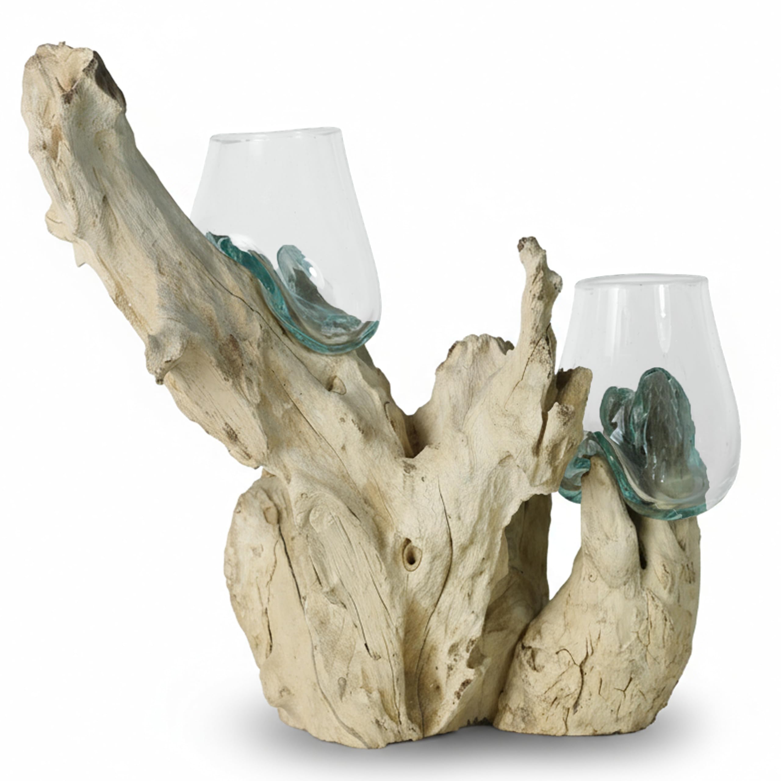 ART-CRAFT Handgefertigte Gamalwurzel mit 2 mundgeblasenen Recyclingglas-Schalen, Natur-Unikat, nachhaltige Wurzelholzkunst, ca. 40x20x20 cm, Vase, Terrarium, Einzelstück, Deko für Wohnzimmer