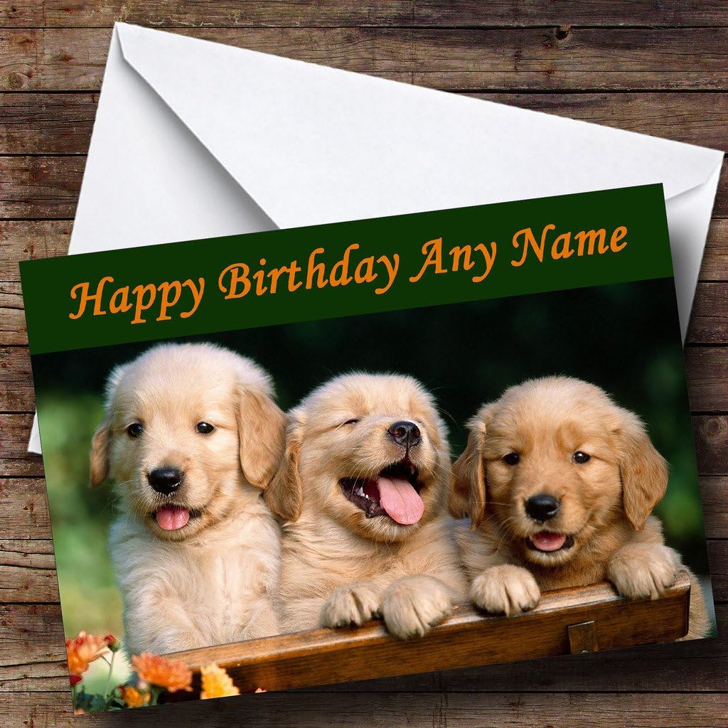Personnalise Chien Labrador Chiot Carte D Anniversaire Amazon Fr Fournitures De Bureau Personnalise Chien Labrador Chiot Carte D Anniversaire Amazon Fr Fournitures De Bureau