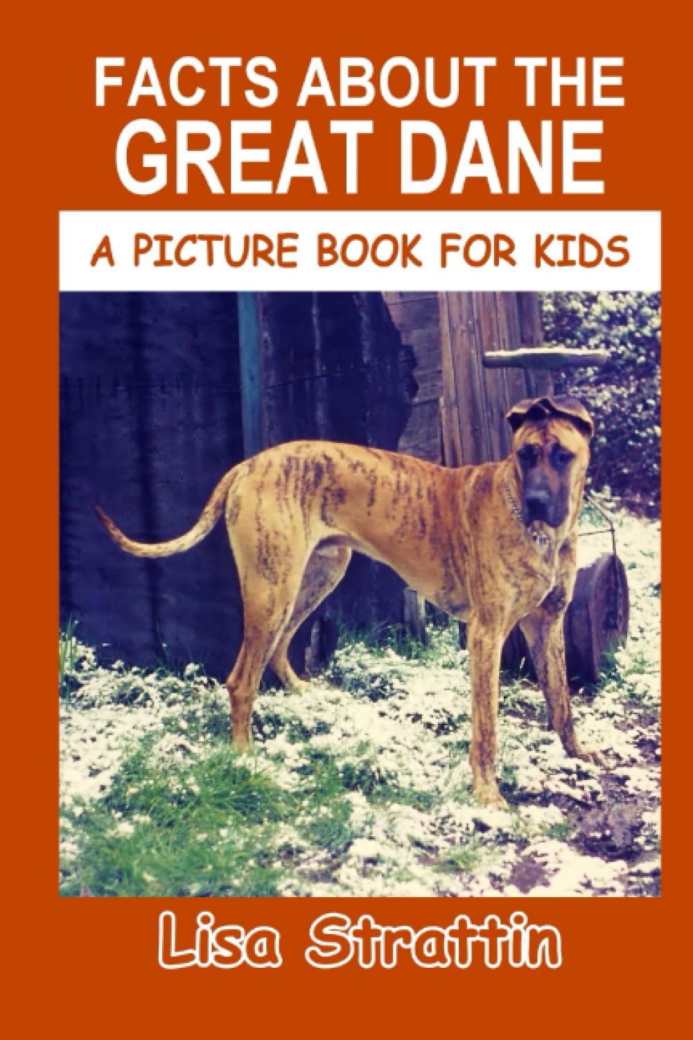 Facts About the Great Dane (A Picture Book For Kids)