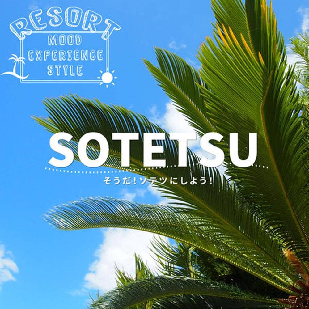 ★美しい大型ソテツ　蘇鉄★【迅速にお届け!!】 観葉植物 ソテツ 蘇鉄 幹上げ110センチ インテリア 素敵な