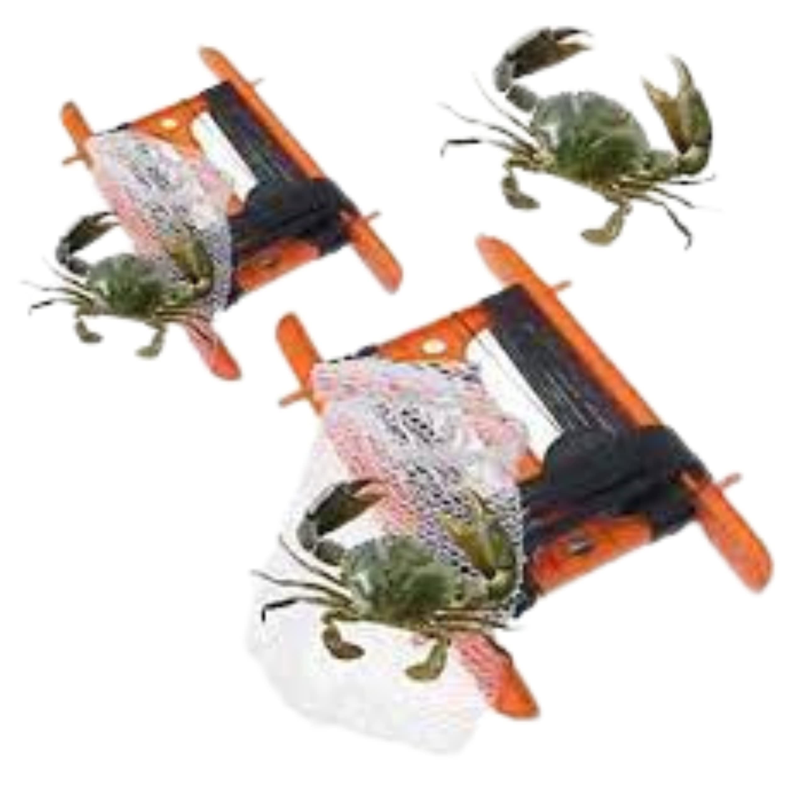 Kit De Cangrejo De 15 M De Líneas De Cangrejo Con Anillo De Peso Neto Y Trampa De Cebo, Red Verde Para Cangrejo Y Pesca Pequeña, Gran Diversión De Verano Segura Para