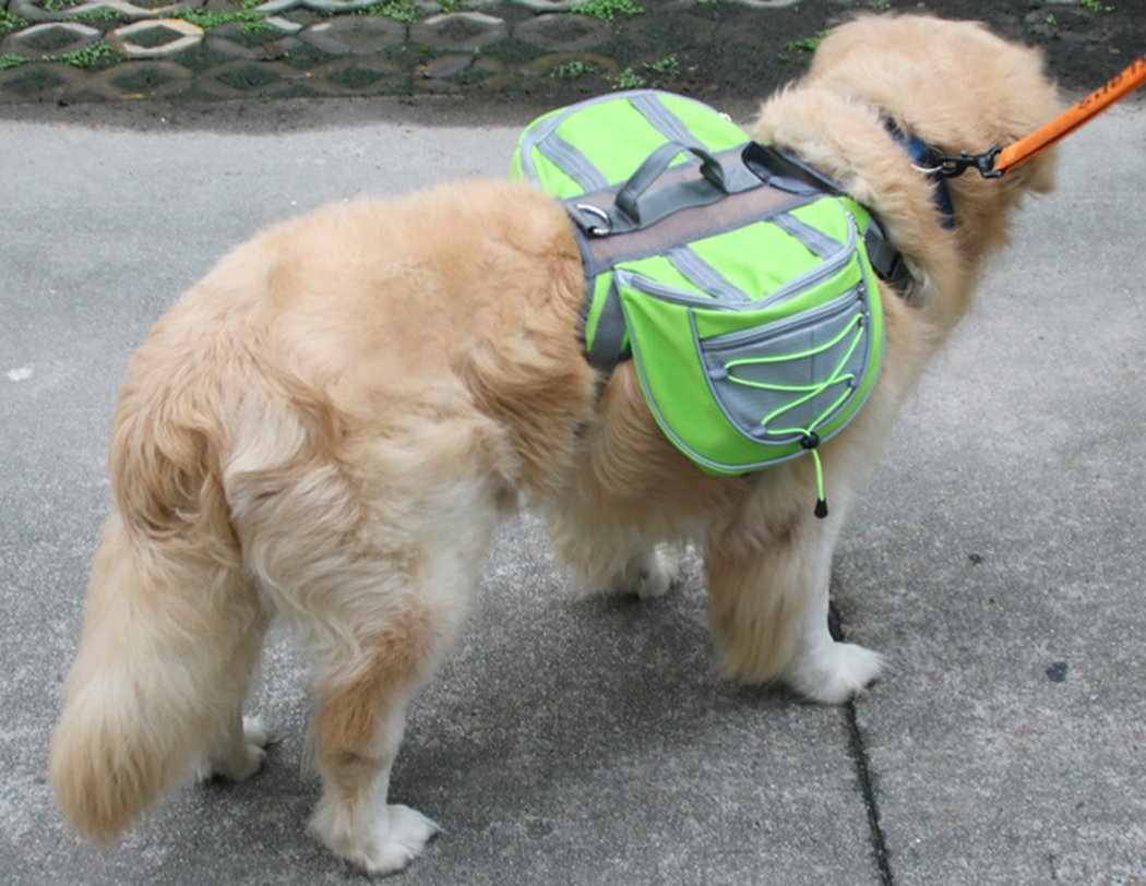 Zaino Per Cani Xiaoyu Regolabile - Imbracatura A Sella Per Trekking E Campeggio - Verde Taglia M - Foto 2