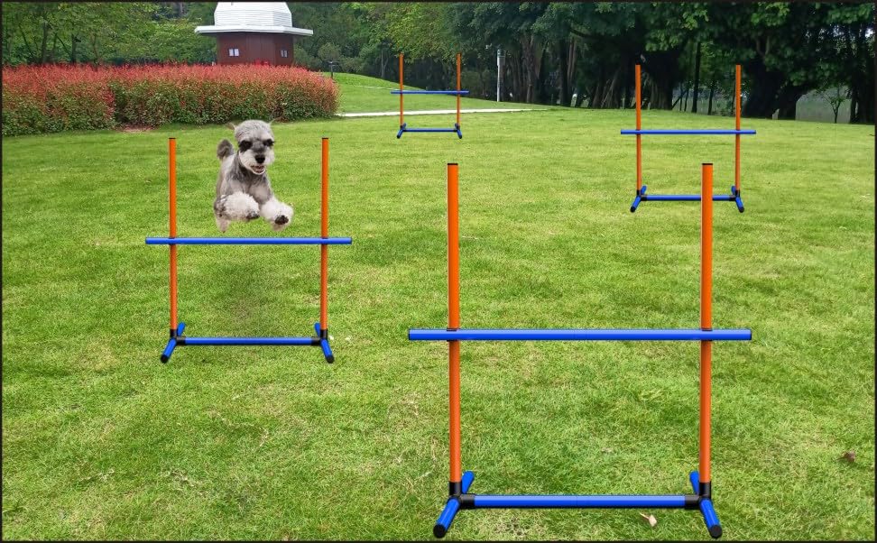 AOUKAR Agility Set Hunde groß, Hürdenset klein Ausrüstung für Hundetraining mit 4 x Hürden Höhenverstellbar