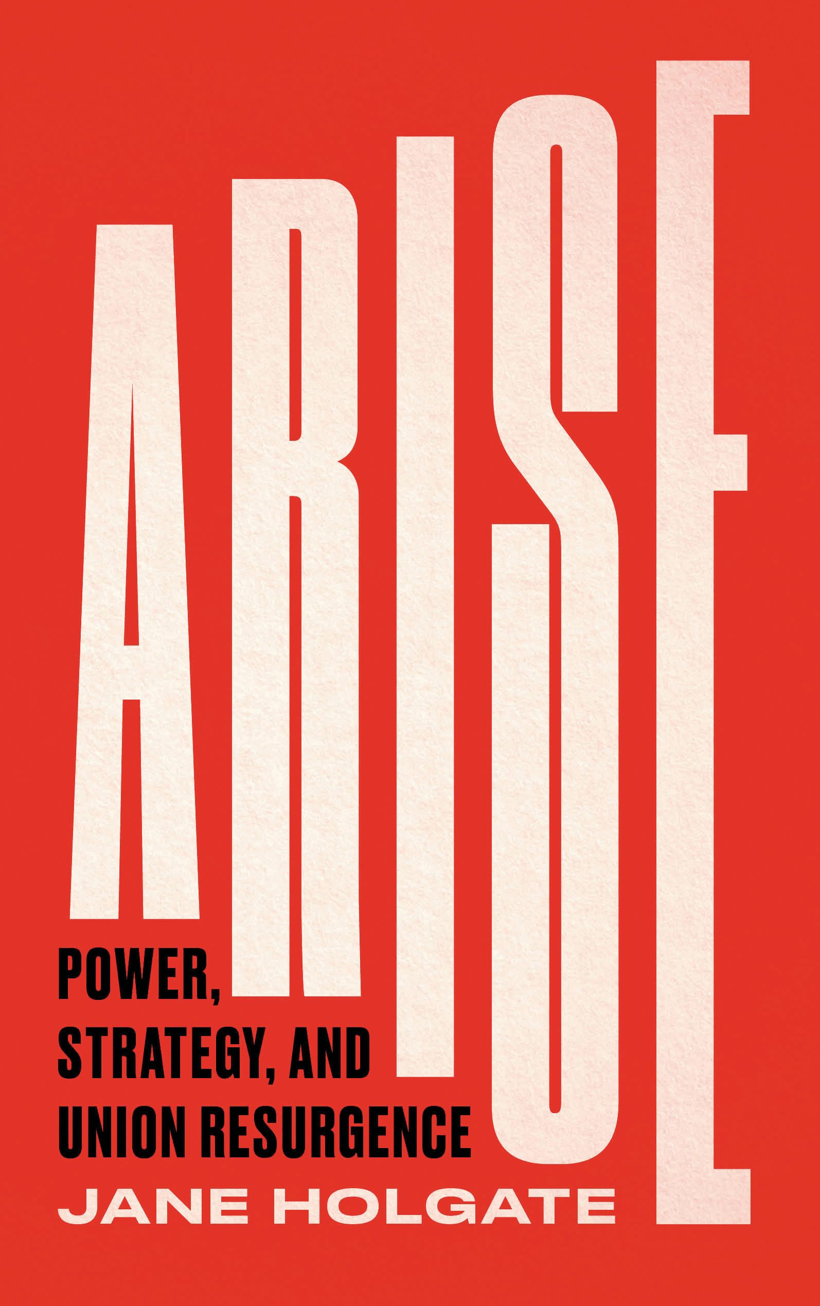 Arise: Power, Strategy and Union Resurgence (Wildcat)