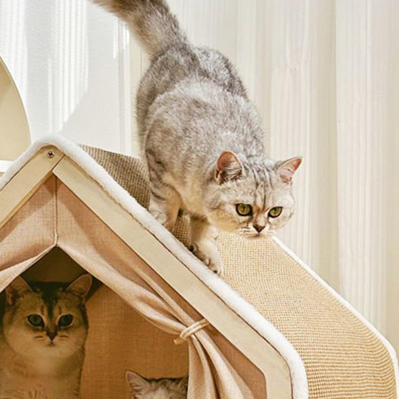 Tenda Cuccia Gatti Casa per con Tiragraffi in Sisal per Riposo e | Tenda Tiragraffi per Adatta a Casa Interna, Camera da , Stanza Animali, e Pavimento Invernale