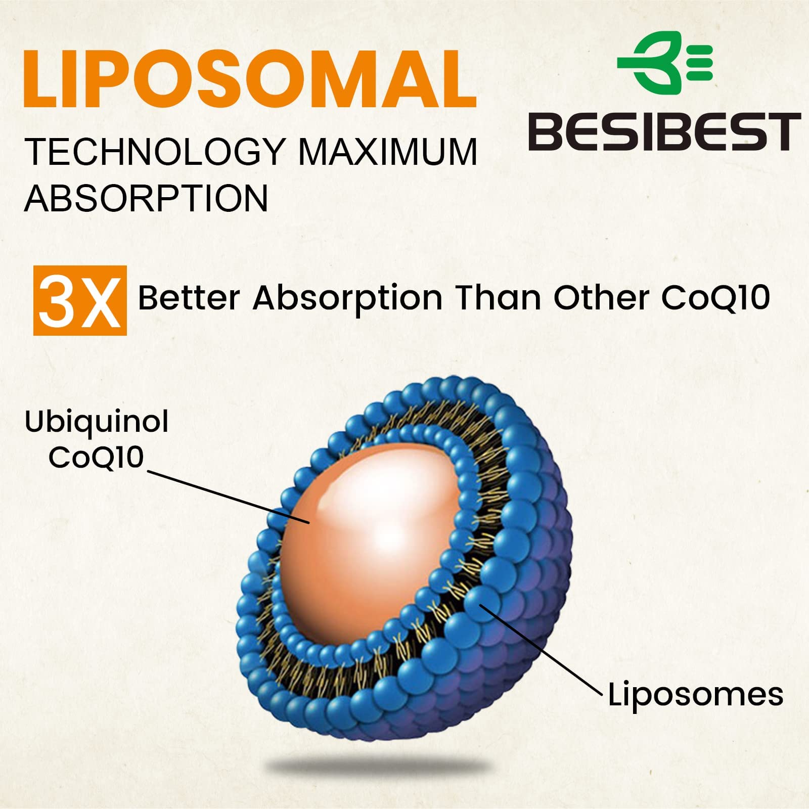 Besibest 1000mg Liposomal CoQ10 Ubiquinol, 60 Vegan Softgels, High Absorption Ubiquinol CoQ10 Supplement, Active Antioxidant Form of Coenzyme Q10 for Heart Function & Energy Production — Amazon image 5